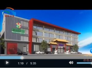 公司介绍